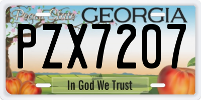 GA license plate PZX7207