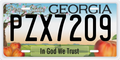 GA license plate PZX7209
