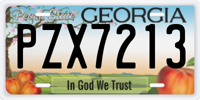 GA license plate PZX7213