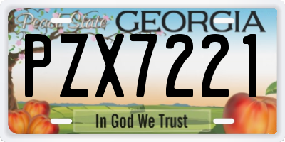 GA license plate PZX7221