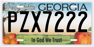 GA license plate PZX7222