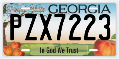 GA license plate PZX7223
