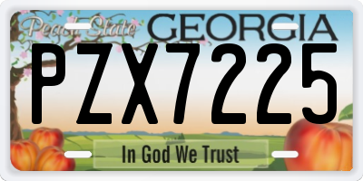GA license plate PZX7225