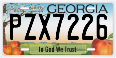 GA license plate PZX7226