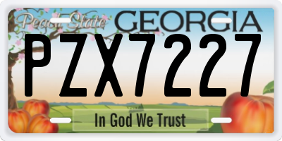GA license plate PZX7227