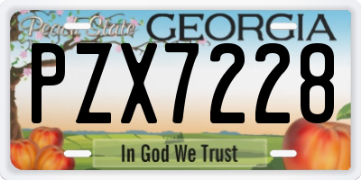 GA license plate PZX7228