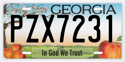 GA license plate PZX7231