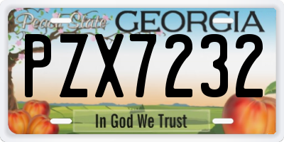 GA license plate PZX7232
