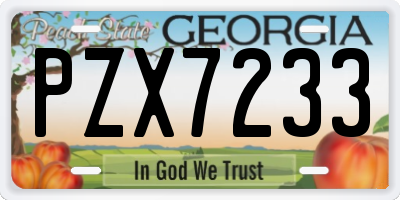 GA license plate PZX7233