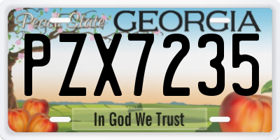 GA license plate PZX7235