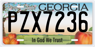 GA license plate PZX7236