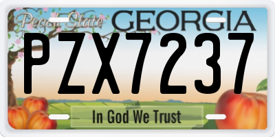 GA license plate PZX7237