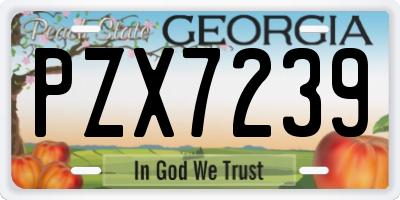 GA license plate PZX7239