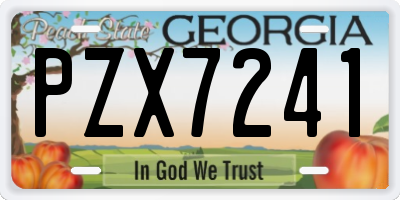 GA license plate PZX7241