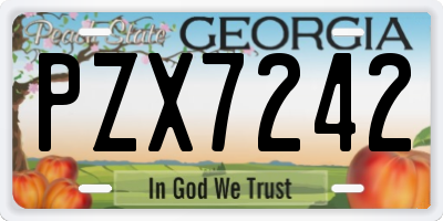 GA license plate PZX7242