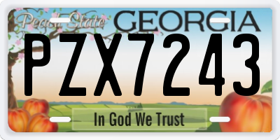 GA license plate PZX7243