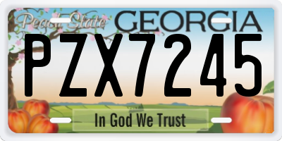 GA license plate PZX7245