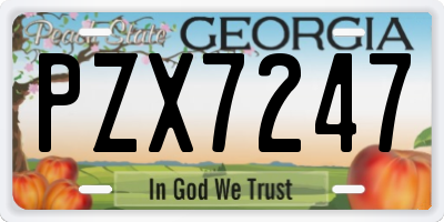 GA license plate PZX7247