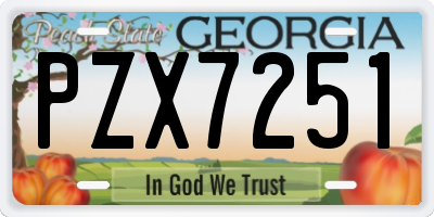 GA license plate PZX7251