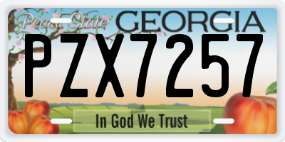 GA license plate PZX7257