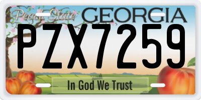 GA license plate PZX7259