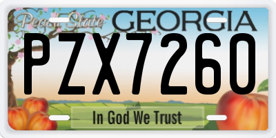 GA license plate PZX7260