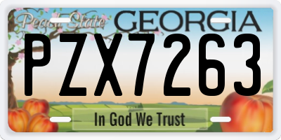 GA license plate PZX7263