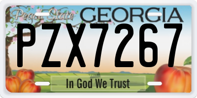 GA license plate PZX7267