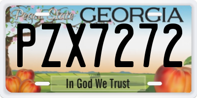 GA license plate PZX7272