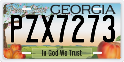 GA license plate PZX7273