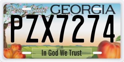 GA license plate PZX7274