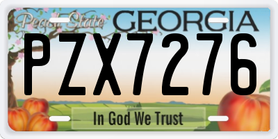 GA license plate PZX7276