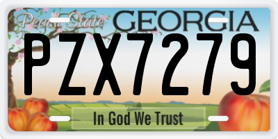 GA license plate PZX7279