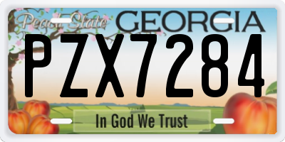 GA license plate PZX7284