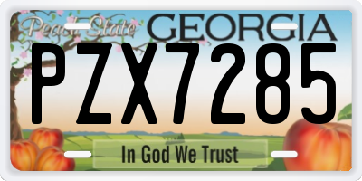GA license plate PZX7285