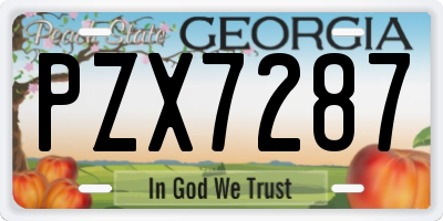GA license plate PZX7287