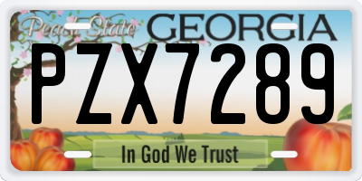 GA license plate PZX7289