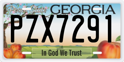 GA license plate PZX7291