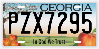 GA license plate PZX7295