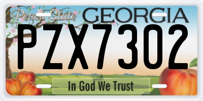 GA license plate PZX7302