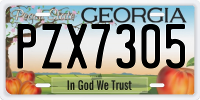 GA license plate PZX7305