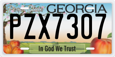 GA license plate PZX7307