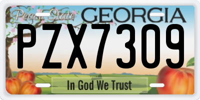 GA license plate PZX7309