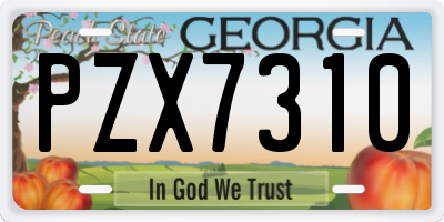 GA license plate PZX7310