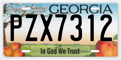 GA license plate PZX7312