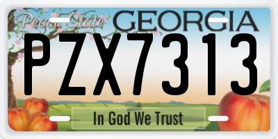 GA license plate PZX7313