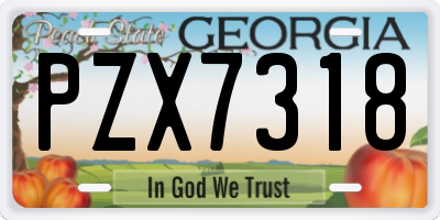 GA license plate PZX7318