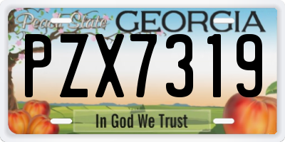 GA license plate PZX7319
