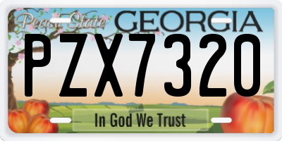 GA license plate PZX7320