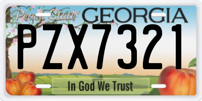 GA license plate PZX7321